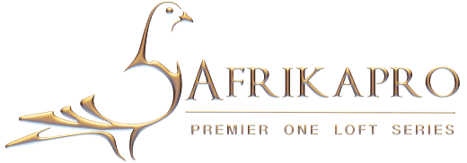 afrikapro gold logo