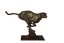 competition icon
