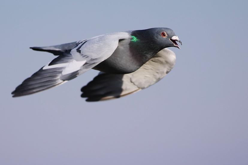 Blog Thumbnail Pic