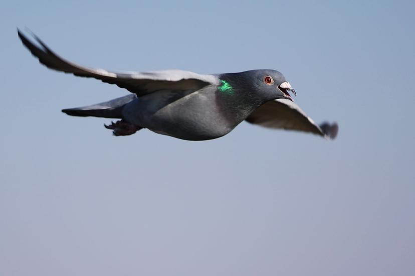 Blog Thumbnail Pic