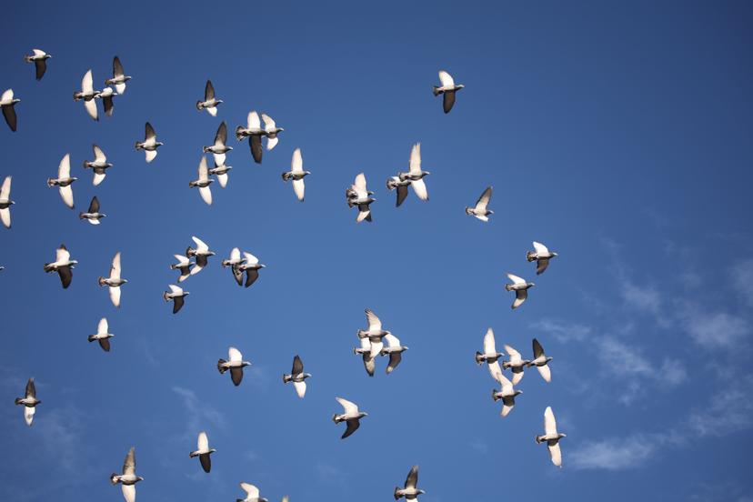 Blog Thumbnail Pic