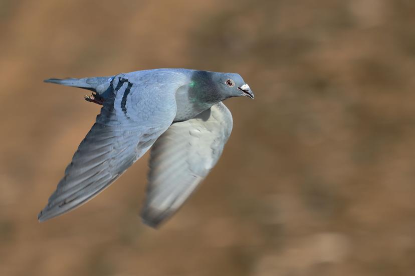 Blog Thumbnail Pic