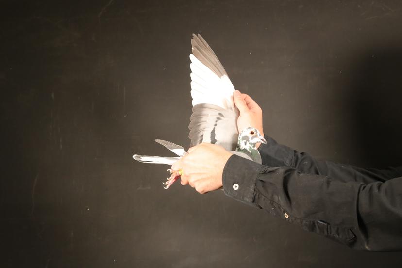 Blog Thumbnail Pic