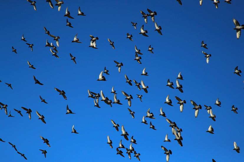 Blog Thumbnail Pic