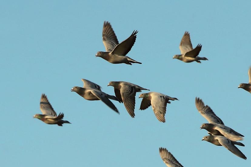 Blog Thumbnail Pic