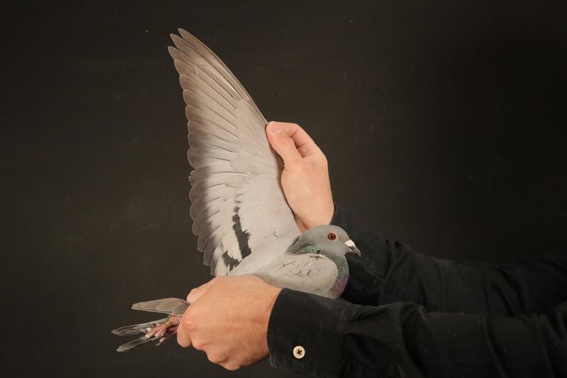 Blog Thumbnail Pic