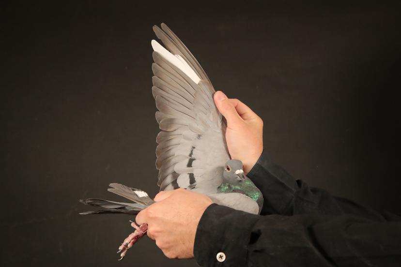 Blog Thumbnail Pic