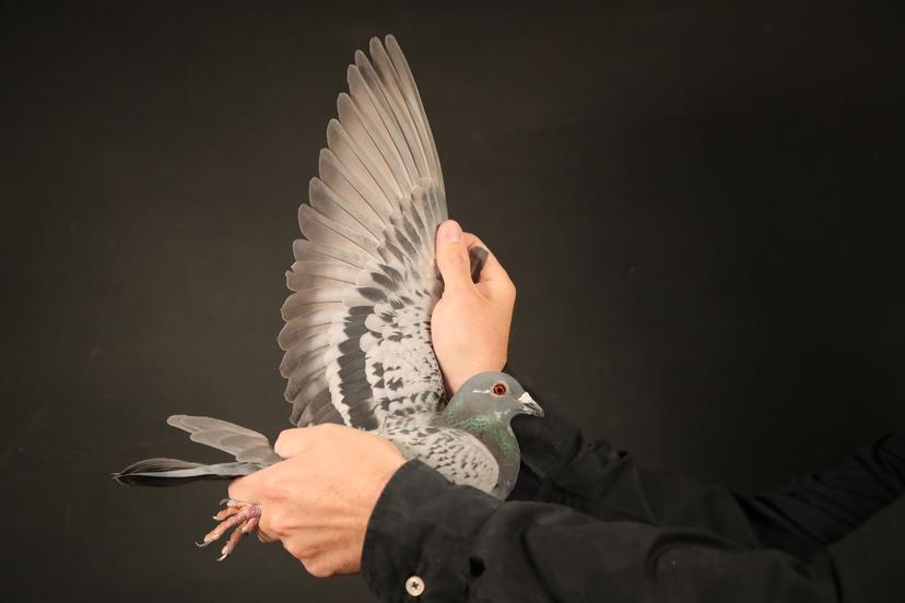 Blog Thumbnail Pic