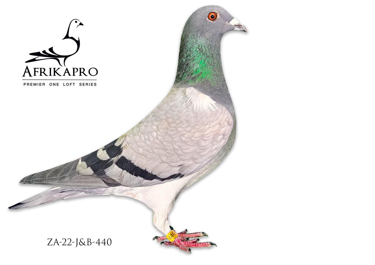Blog Card Image